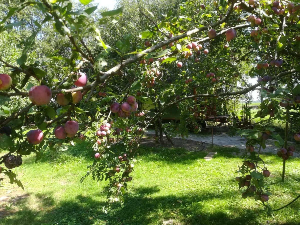 Vegawagen Psyche, Een Sprookje In קובורדן מראה חיצוני תמונה